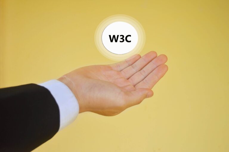 W3C Errors RSDS